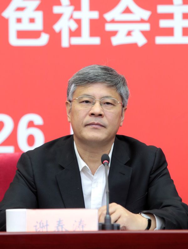 中央党校(国家行政学院)副校(院)长谢春涛发言.本网记者 朱高磊/摄